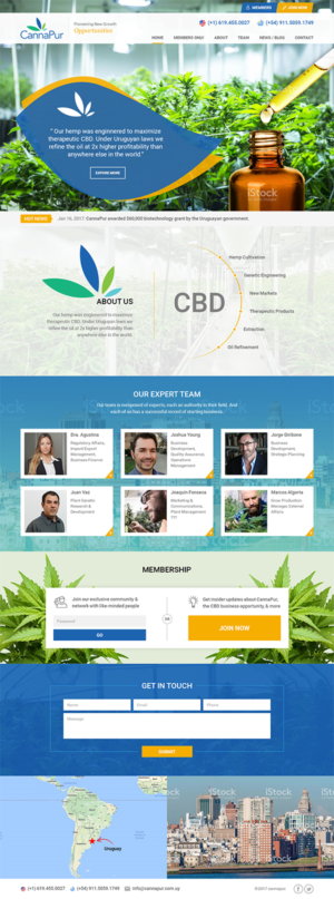 Web Design by RupalTechno for CannaPur | Design: #13646170