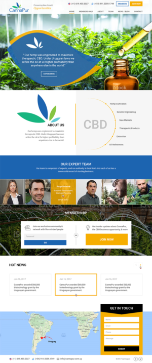 Web Design by RupalTechno for CannaPur | Design: #13646171