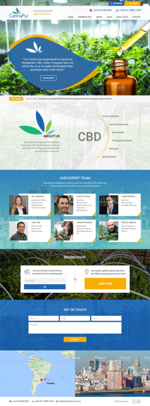 Web Design by RupalTechno for CannaPur | Design: #13646172