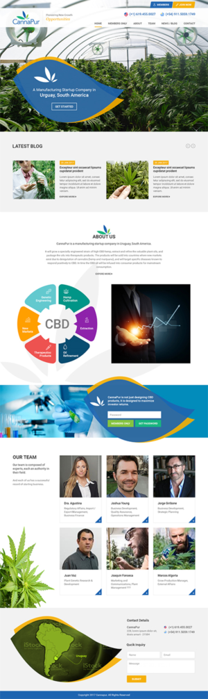 Web Design by RupalTechno for CannaPur | Design: #13720015