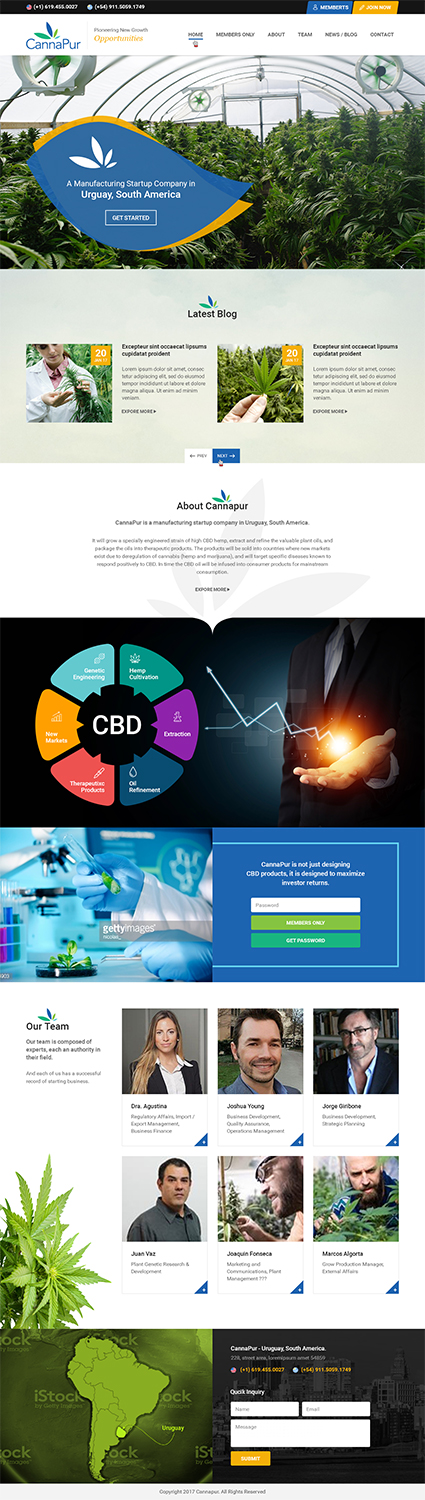Web Design by RupalTechno for CannaPur | Design #13744589