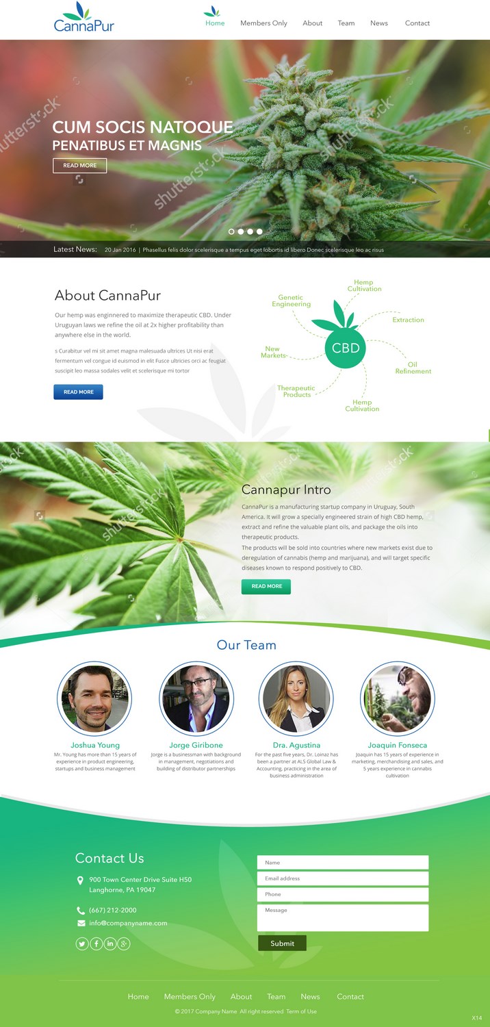 Web Design by pb for CannaPur | Design #13603991