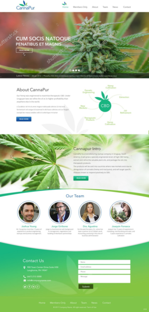 Web Design by pb for CannaPur | Design: #13603991