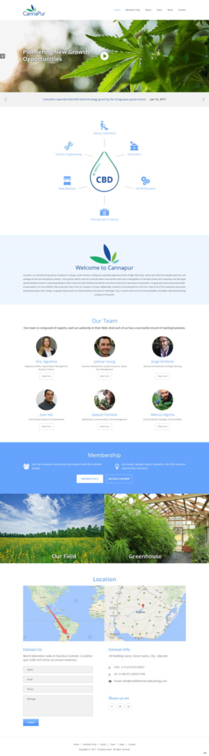 Web Design by pb for CannaPur | Design: #13627768
