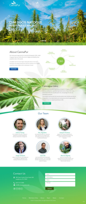 Web Design by pb for CannaPur | Design: #13639152