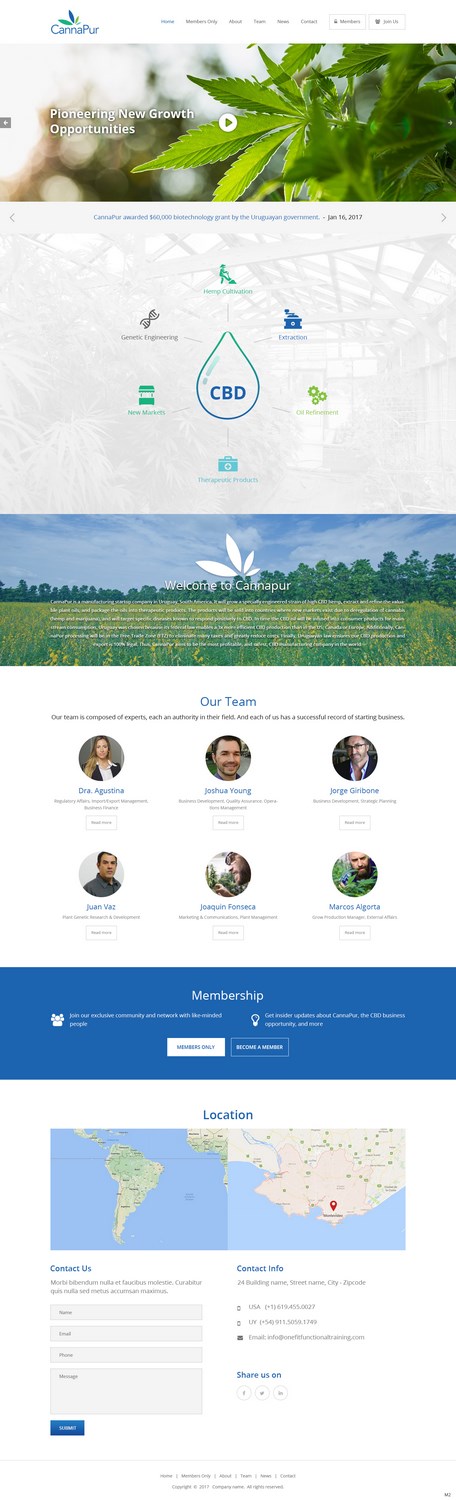 Web Design by pb for CannaPur | Design #13639154