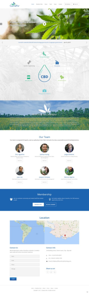 Web Design by pb for CannaPur | Design: #13639154
