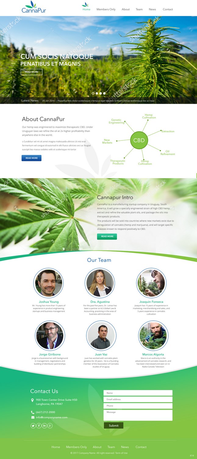 Web Design by pb for CannaPur | Design #13639155
