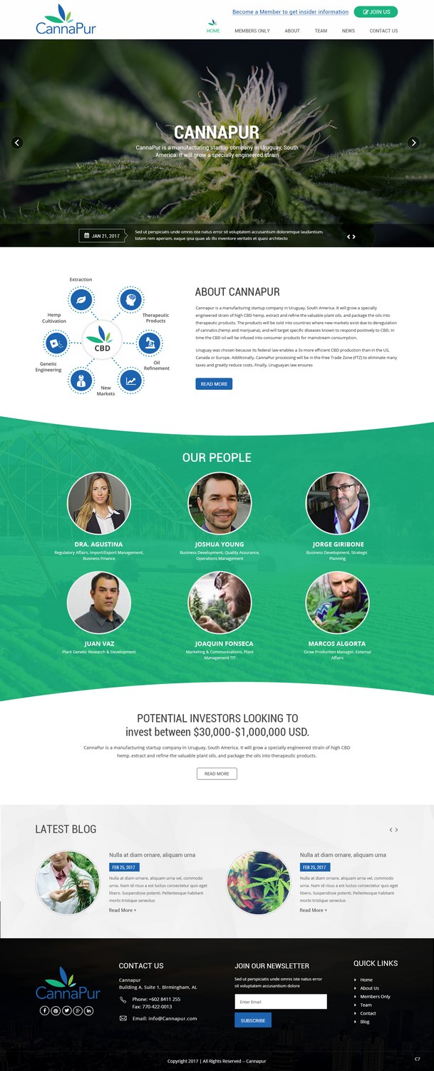 Web Design by pb for CannaPur | Design #13641093