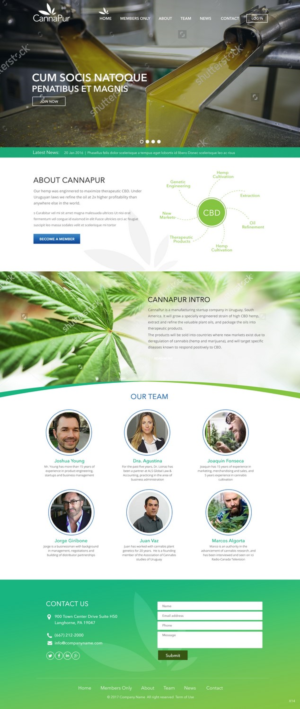 Web Design by pb for CannaPur | Design: #13653418