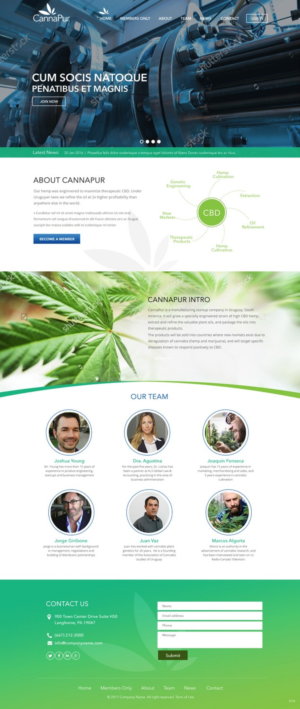 Web Design by pb for CannaPur | Design: #13653419