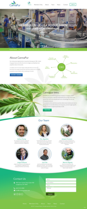 Web Design by pb for CannaPur | Design: #13653432
