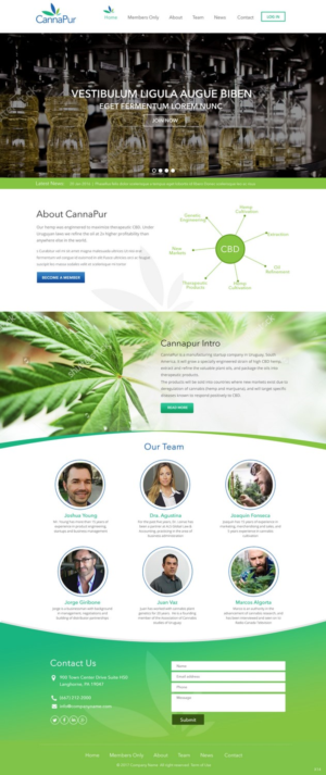 Web Design by pb for CannaPur | Design: #13653433