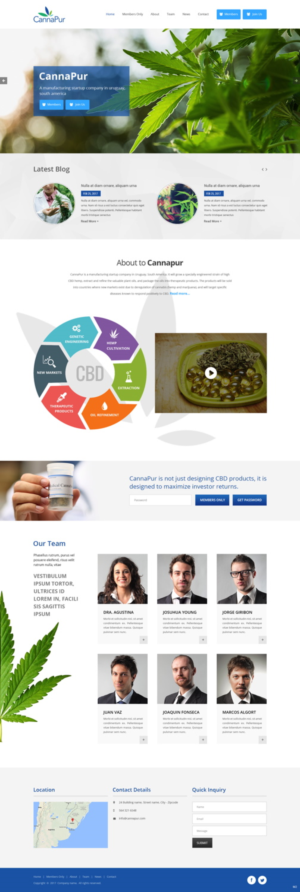 Web Design by pb for CannaPur | Design: #13738601