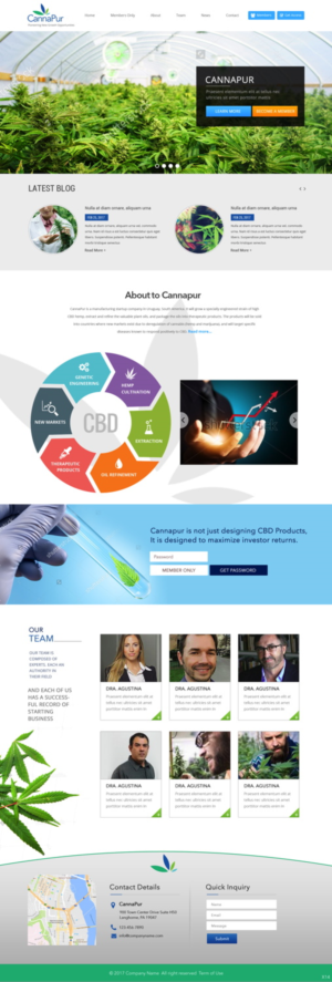 Web Design by pb for CannaPur | Design: #13738603