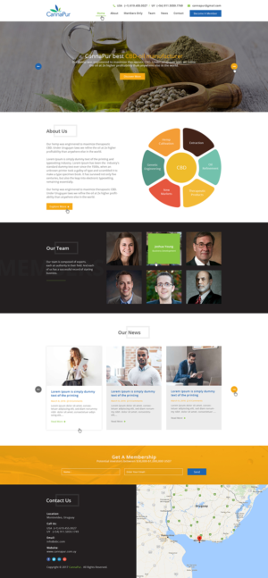 Web Design by Ved Web Services for CannaPur | Design: #13653846