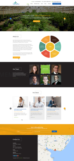 Web Design by Ved Web Services for CannaPur | Design: #13653847