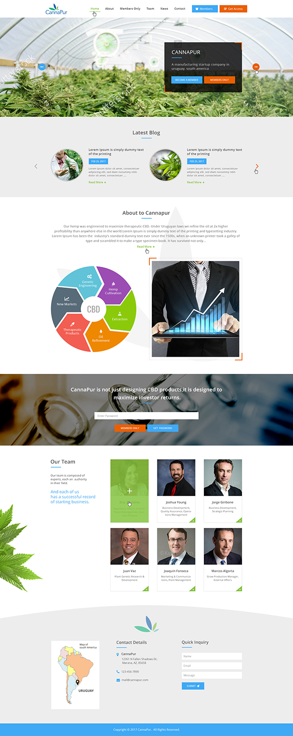 Web Design by Ved Web Services for CannaPur | Design #13733220