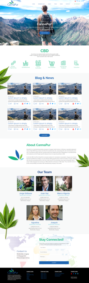 Web Design by Creeative Icon for CannaPur | Design #13650520