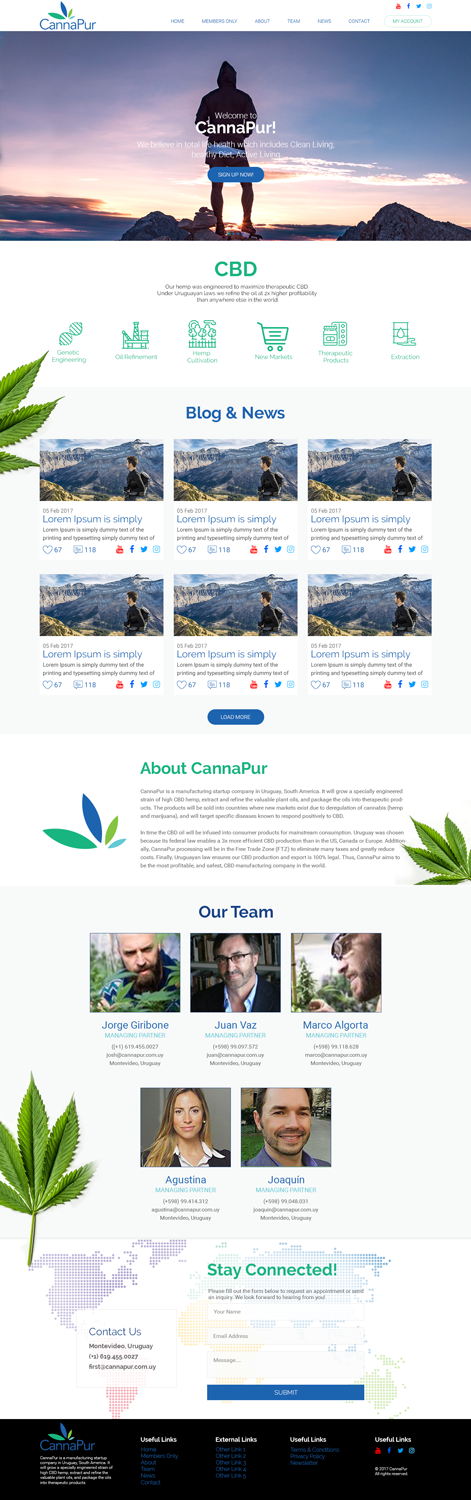 Web Design by Creeative Icon for CannaPur | Design #13650560
