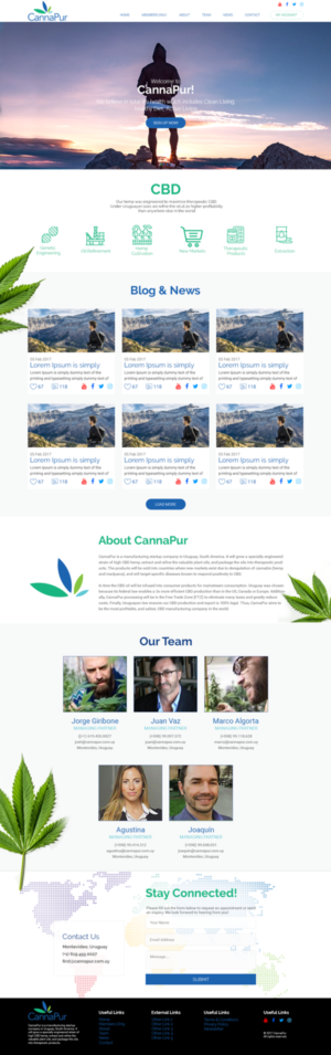 Web Design by Creeative Icon for CannaPur | Design: #13650560