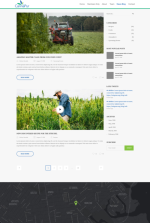 Web Design by Ayesha Khan for CannaPur | Design: #13607099
