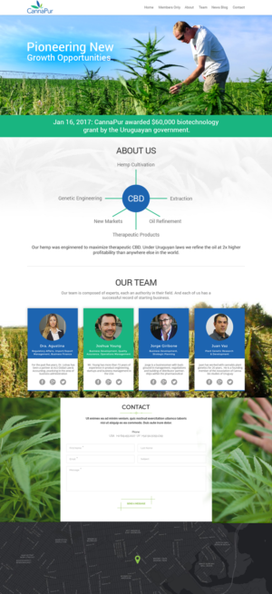 Web Design by Ayesha Khan for CannaPur | Design #13607100