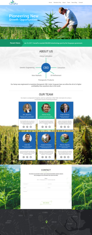 Web Design by Ayesha Khan for CannaPur | Design: #13628930