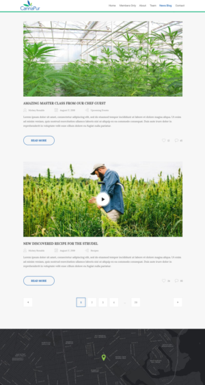 Web Design by Ayesha Khan for CannaPur | Design: #13628932