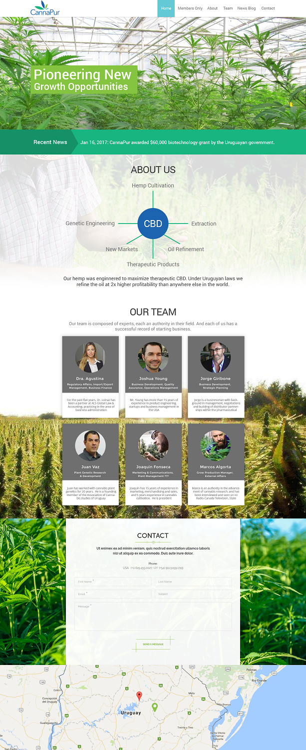Web Design by Ayesha Khan for CannaPur | Design #13640982