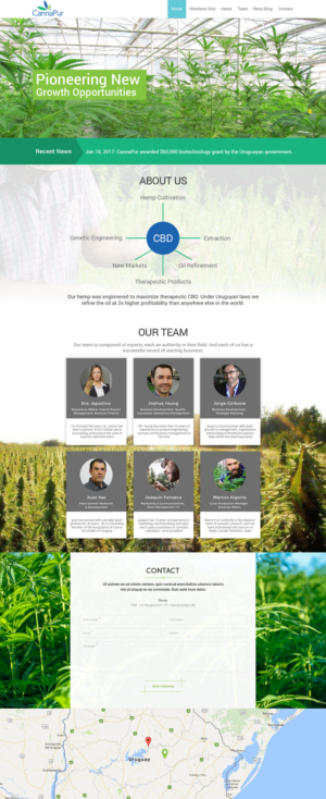 Web Design by Ayesha Khan for CannaPur | Design: #13640982