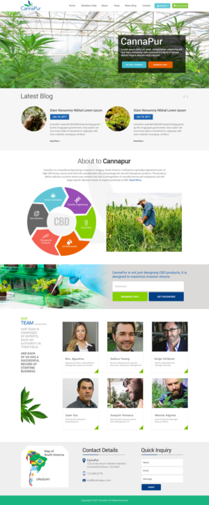 Web Design by Ayesha Khan