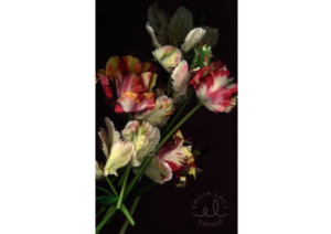 Logo Design by Hey for this project | Design: #13680301