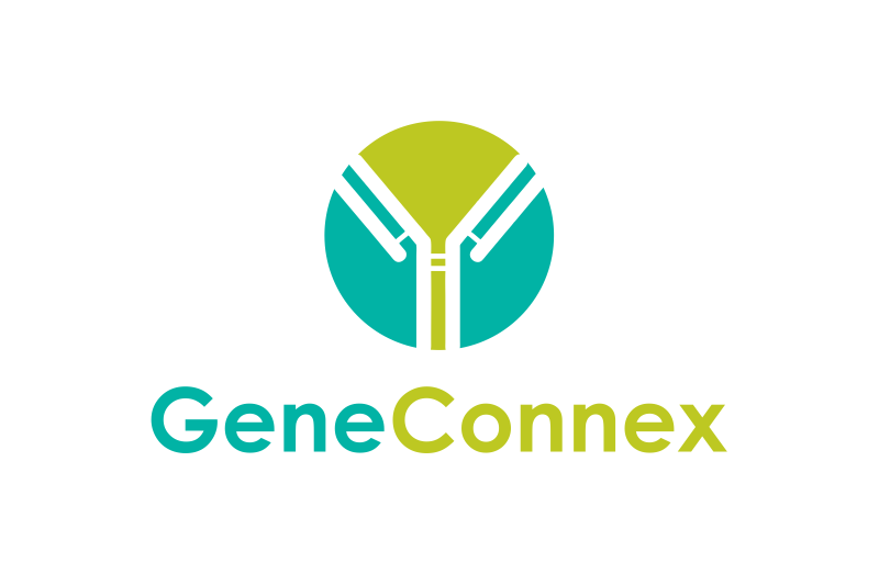 Diseño de Logo por ronyakiz para este proyecto | Diseño #13833524