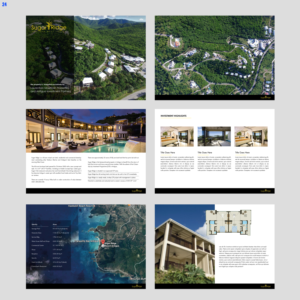 Design de Brochure par uniquedesign10
