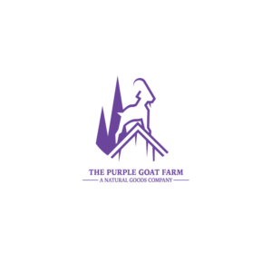 Logo Design by Borandn
