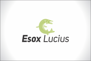 Logo Design by Robert Macwan