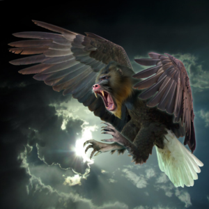 Photoshop Design by DutchPuh