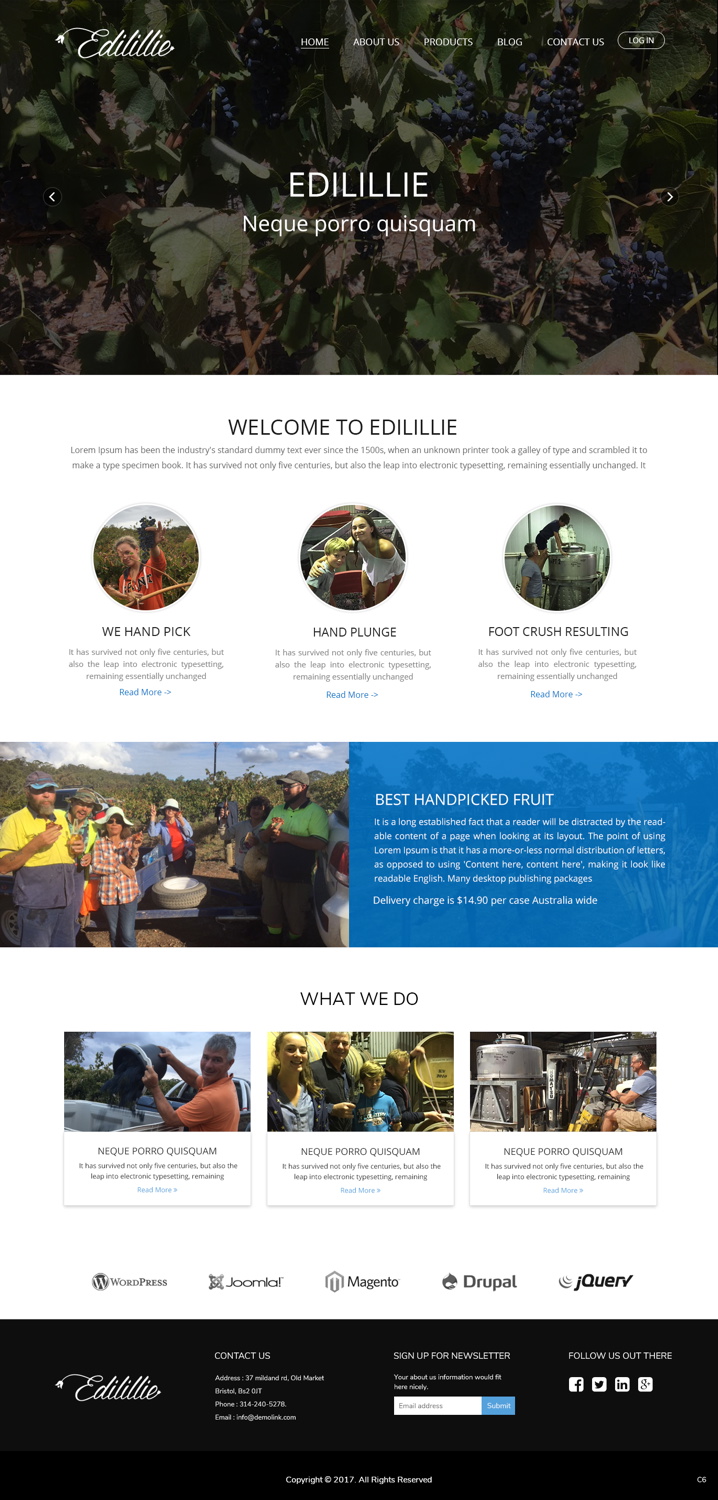 Diseño Web por pb para este proyecto | Diseño #13845126