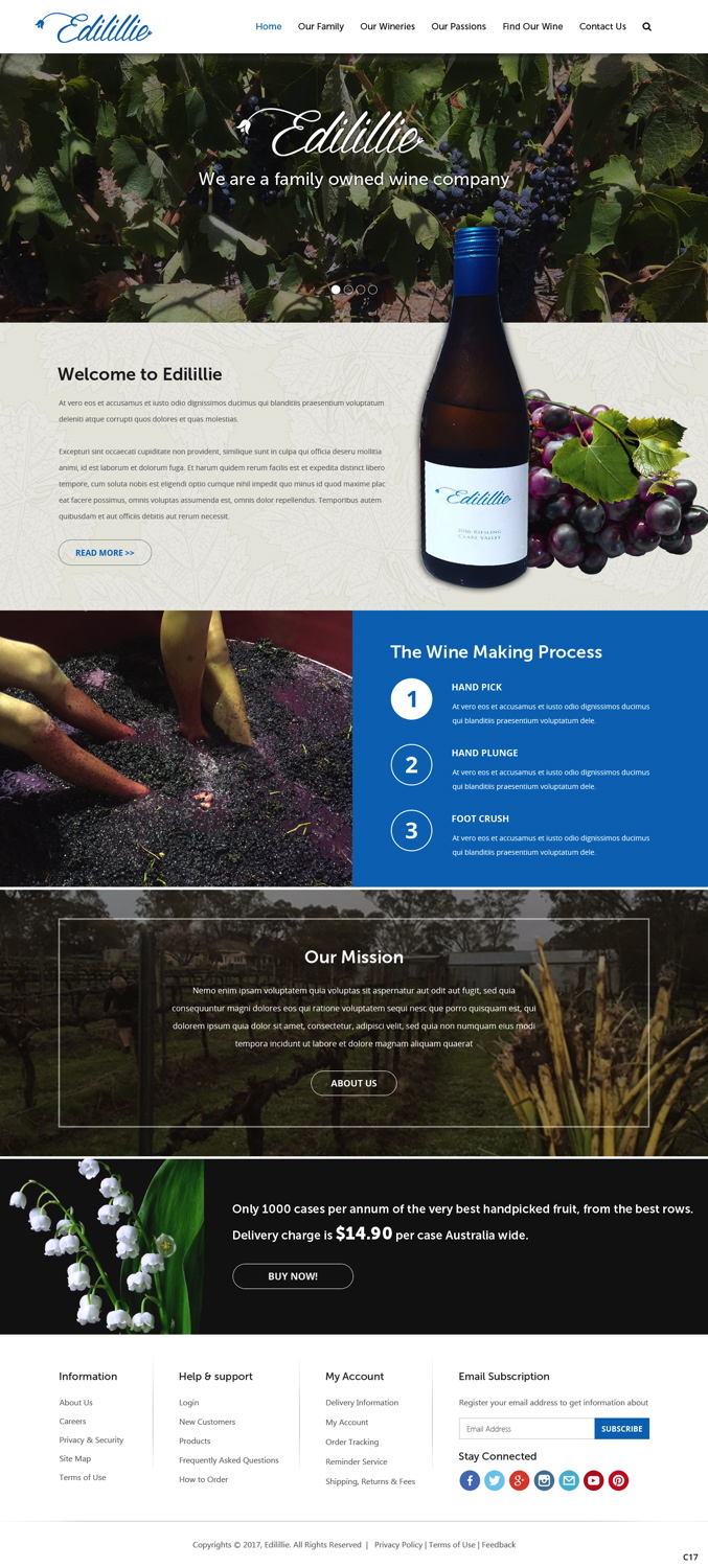 Diseño Web por pb para este proyecto | Diseño #13845130