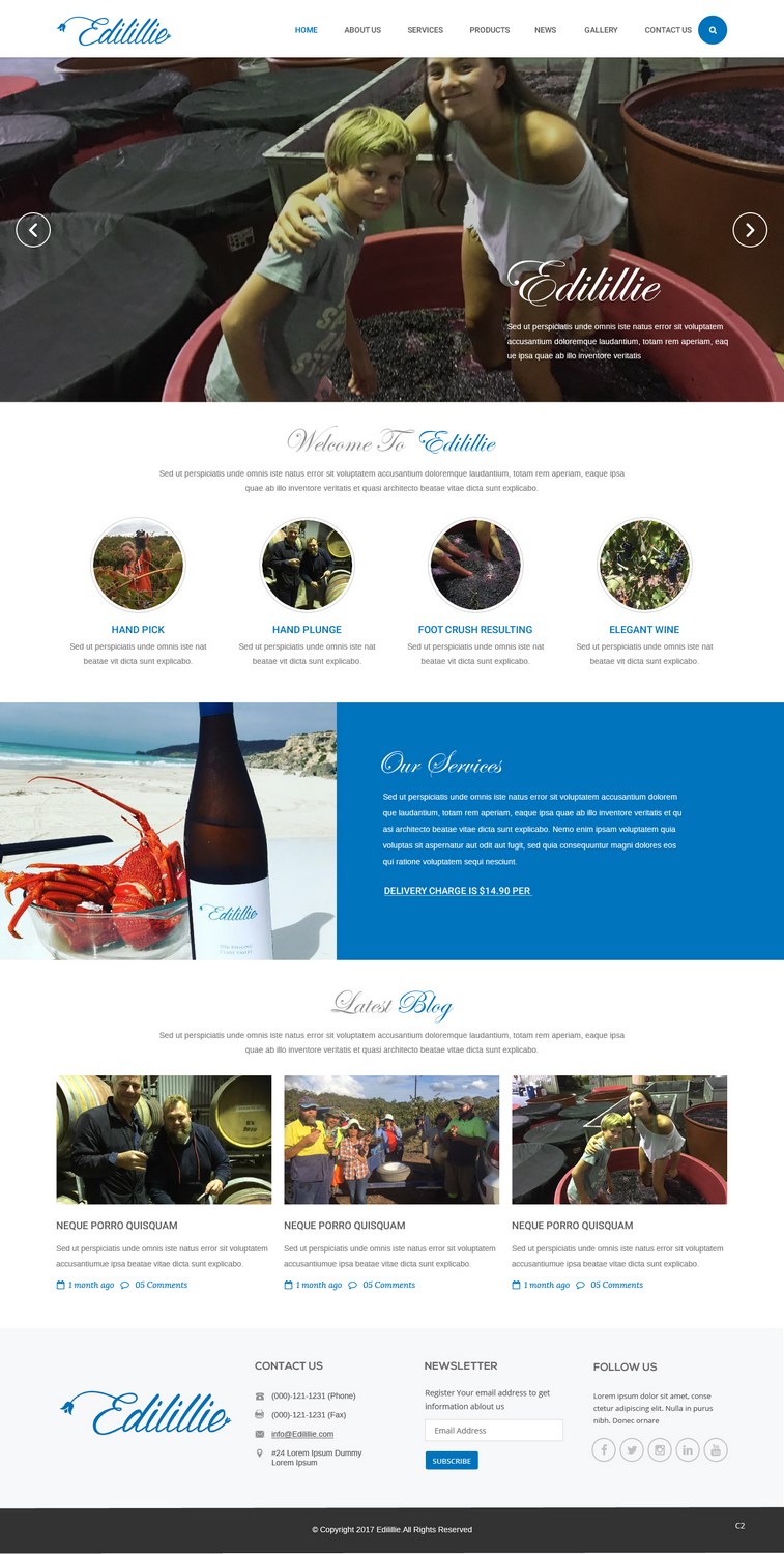 Diseño Web por pb para este proyecto | Diseño #13858453