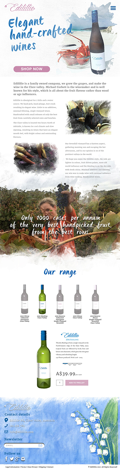 Web Design by steercreative for this project | Design #13942410