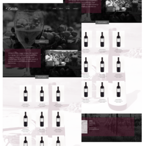 Web Design by stepaAnomalous for this project | Design #13950531