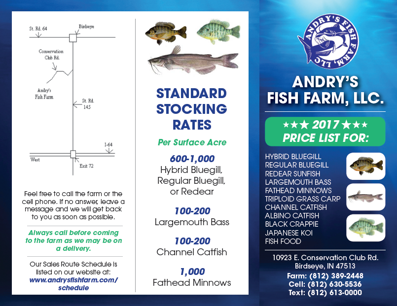 Flyer Design by vinz for this project | Design #13633860