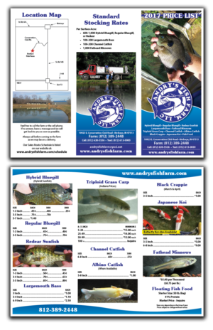 Flyer Design by Whalen