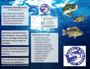 Flyer Design by Parul for this project | Design: #13712478