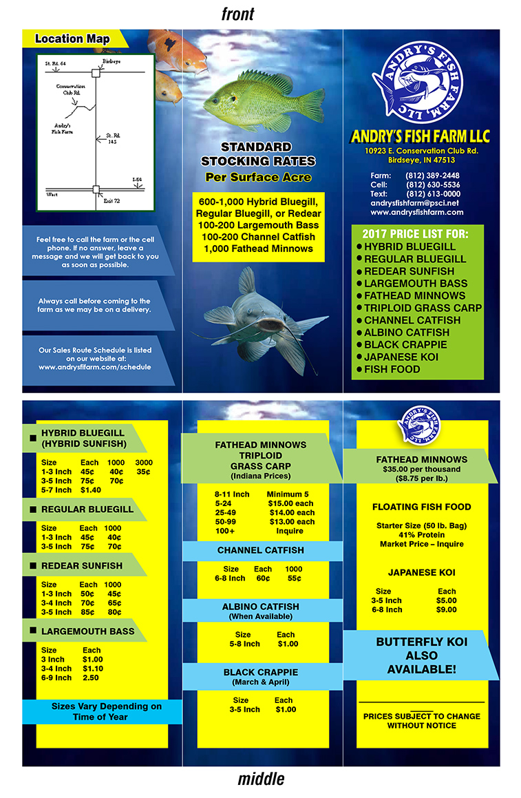 Flyer-Design von NILDesigns für dieses Projekt | Design #13633382