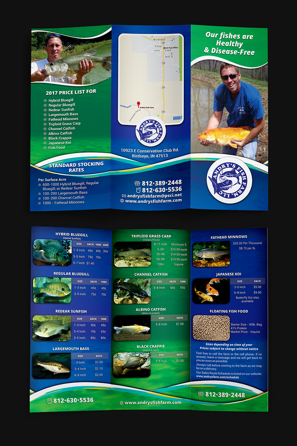 Diseño de Flyer por ImageNation para este proyecto | Diseño #13645149