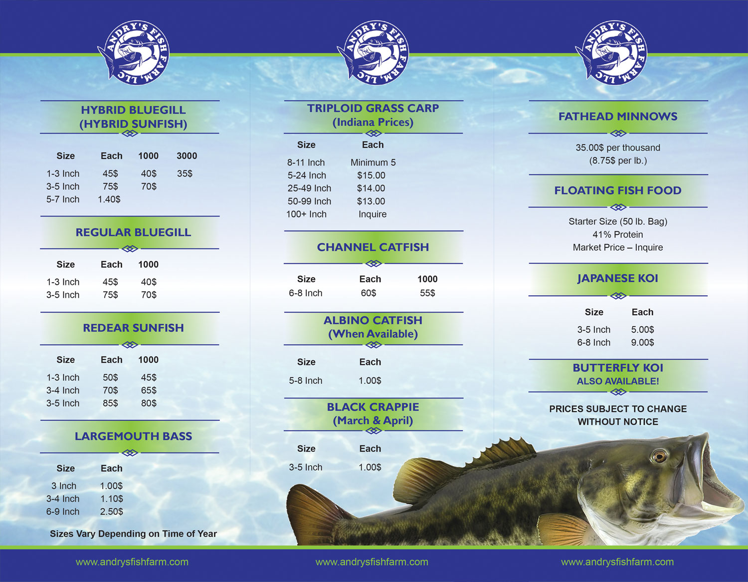 Flyer Design by falcon.wings for this project | Design #13656707