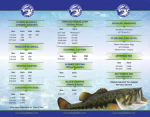 Flyer Design by falcon.wings for this project | Design: #13656707